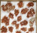 Lot: Assorted Twinned Aragonite Clusters - Pieces #134144-2